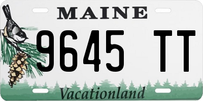 ME license plate 9645TT