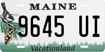 ME license plate 9645UI