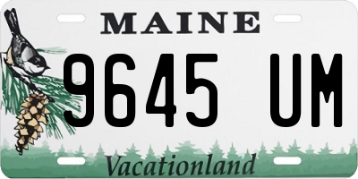 ME license plate 9645UM