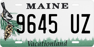 ME license plate 9645UZ