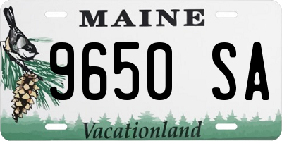 ME license plate 9650SA