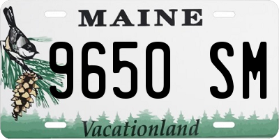 ME license plate 9650SM