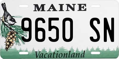 ME license plate 9650SN