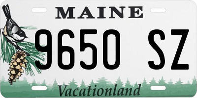 ME license plate 9650SZ