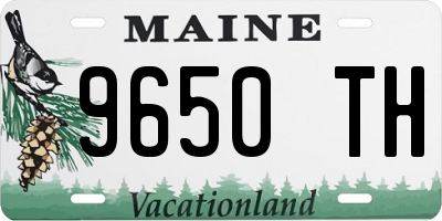 ME license plate 9650TH