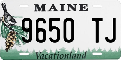 ME license plate 9650TJ