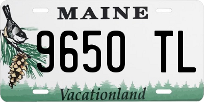 ME license plate 9650TL