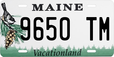 ME license plate 9650TM