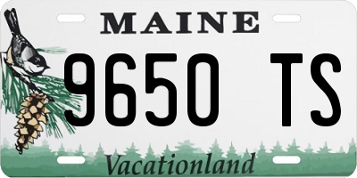 ME license plate 9650TS