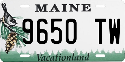 ME license plate 9650TW