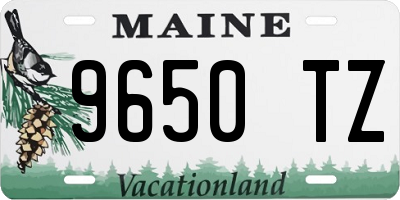 ME license plate 9650TZ
