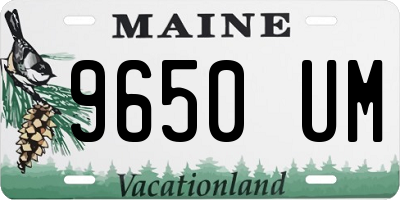 ME license plate 9650UM