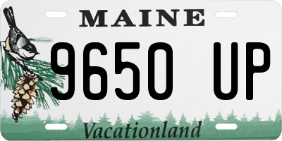 ME license plate 9650UP
