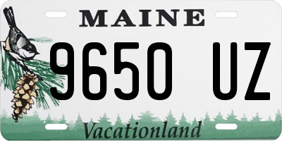 ME license plate 9650UZ