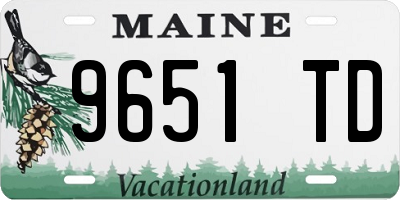 ME license plate 9651TD