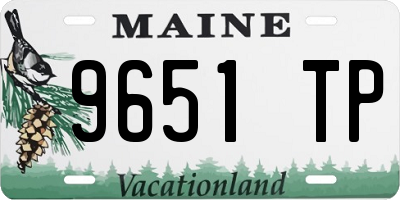 ME license plate 9651TP