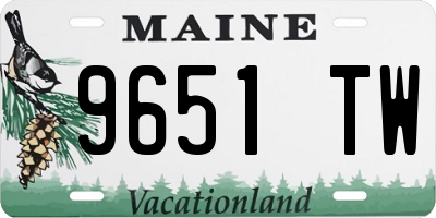 ME license plate 9651TW