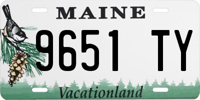 ME license plate 9651TY