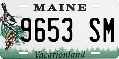ME license plate 9653SM