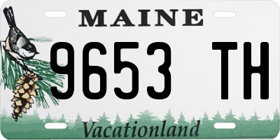 ME license plate 9653TH