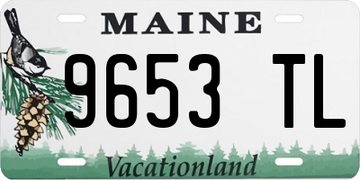 ME license plate 9653TL