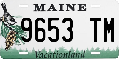 ME license plate 9653TM