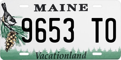 ME license plate 9653TO