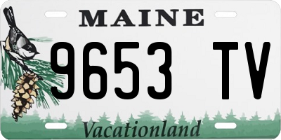 ME license plate 9653TV