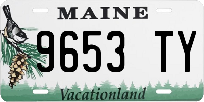 ME license plate 9653TY