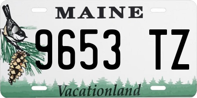 ME license plate 9653TZ