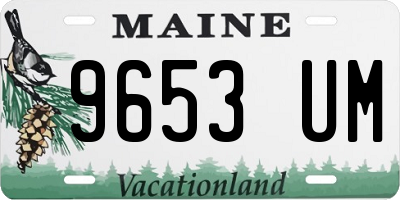 ME license plate 9653UM