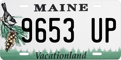 ME license plate 9653UP