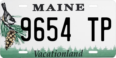 ME license plate 9654TP