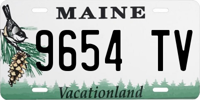 ME license plate 9654TV