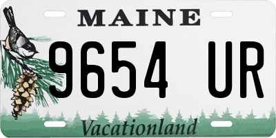 ME license plate 9654UR