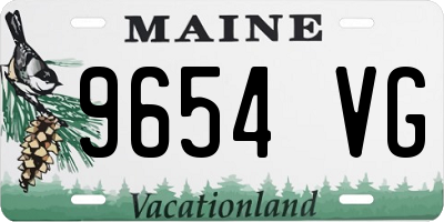 ME license plate 9654VG