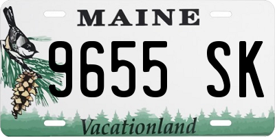 ME license plate 9655SK