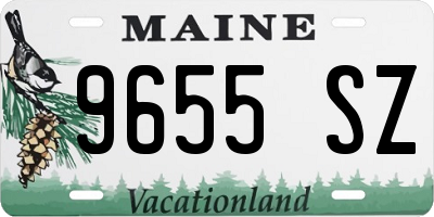 ME license plate 9655SZ
