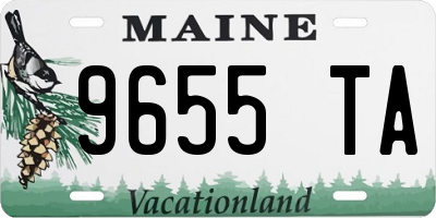 ME license plate 9655TA
