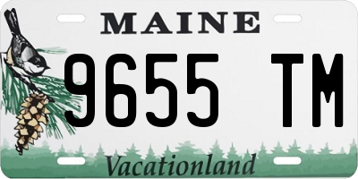 ME license plate 9655TM