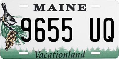 ME license plate 9655UQ