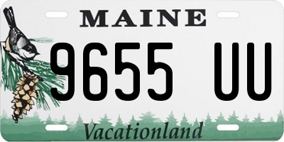 ME license plate 9655UU