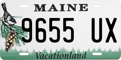 ME license plate 9655UX