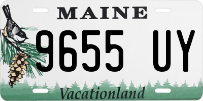 ME license plate 9655UY