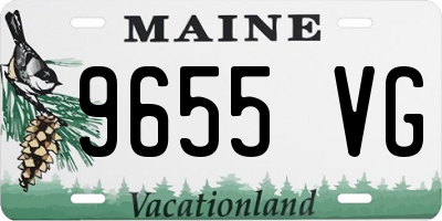 ME license plate 9655VG