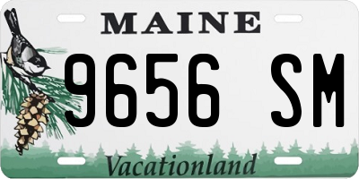 ME license plate 9656SM
