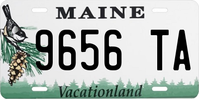 ME license plate 9656TA