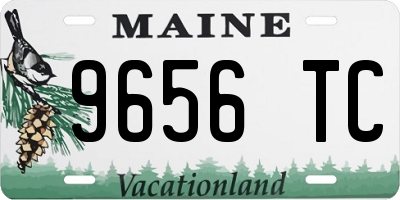 ME license plate 9656TC