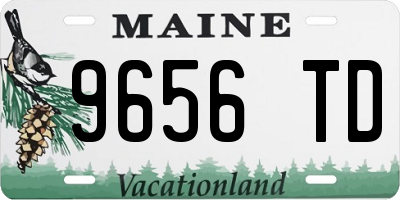 ME license plate 9656TD