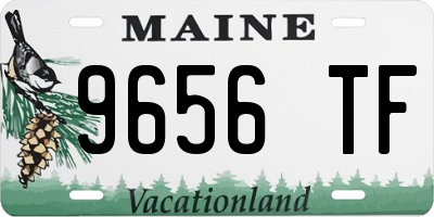 ME license plate 9656TF